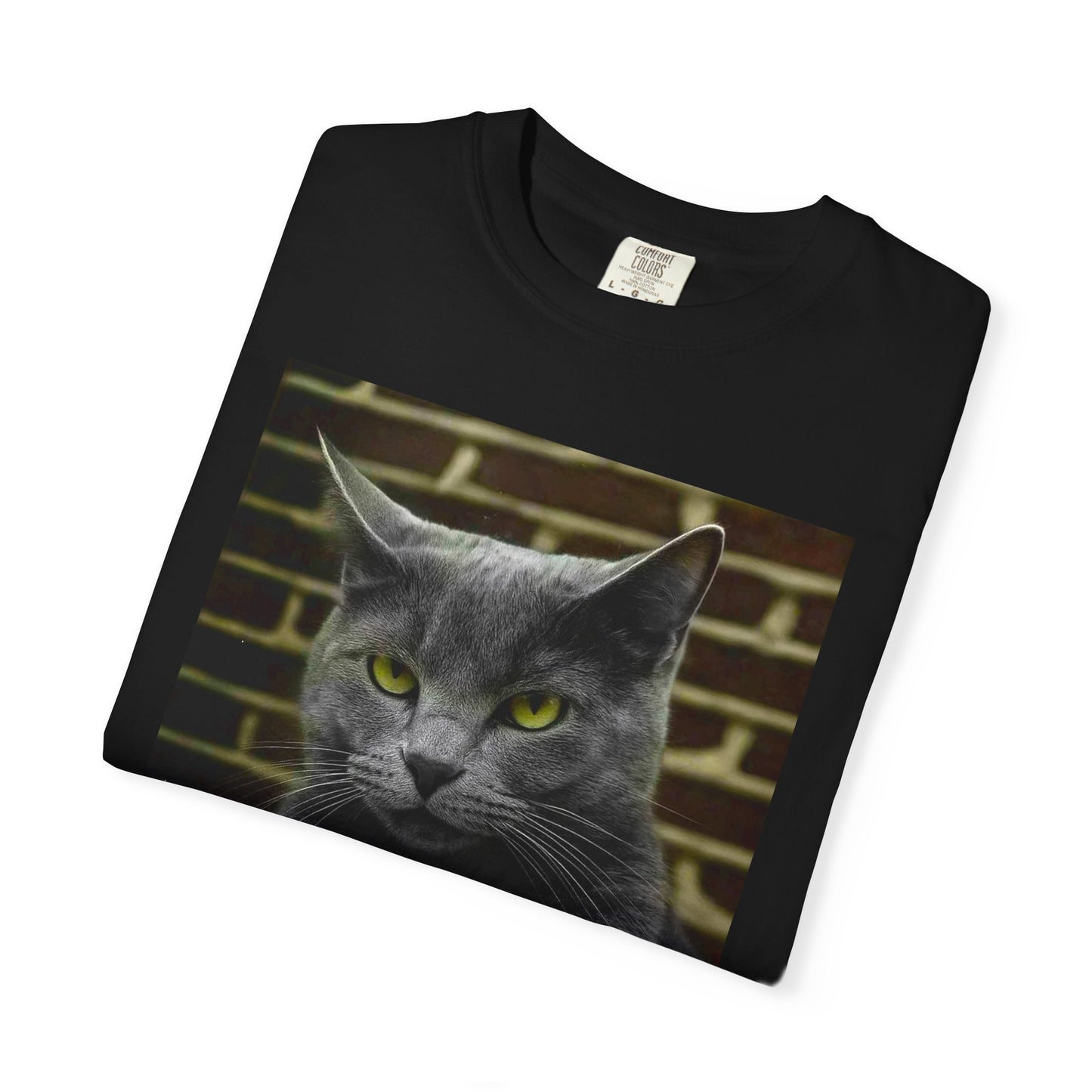 Bad Cat, Unisex, chandail de qualité et confortable.