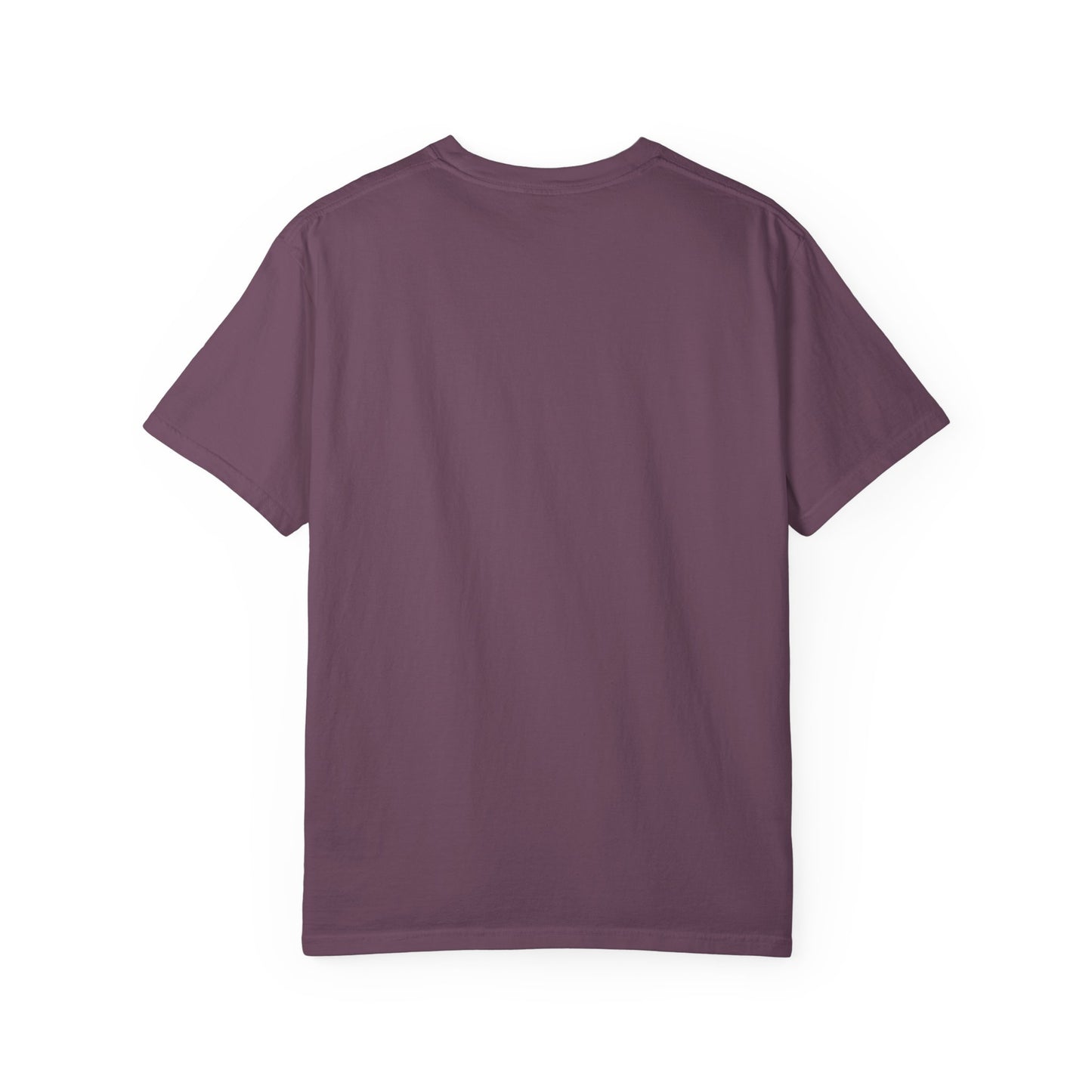 (fy) DKS Smooth ways, Unisex.  Garment-Dyed T-shirt
